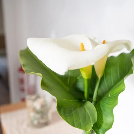 Casa Garabeto Σπίτι διακοπών