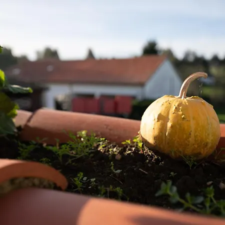 Vakantiehuis Casa Garabeto