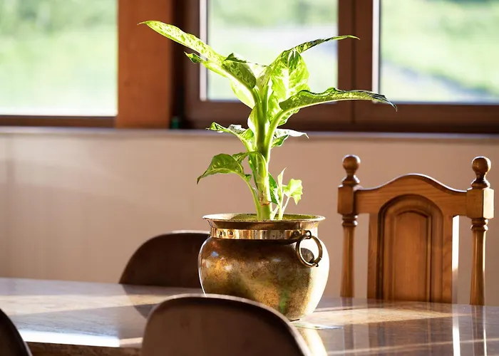 Сasa de vacaciones Casa Garabeto Luanco