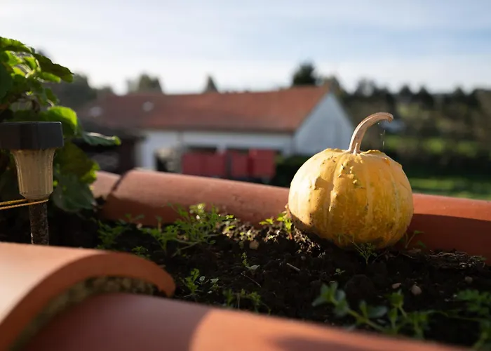Сasa de vacaciones Casa Garabeto