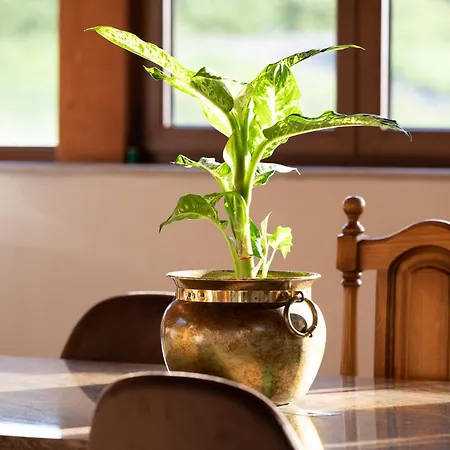 Casa de Férias Casa Garabeto Luanco